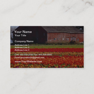 Red Tulip farm, Mt. Vernon, Washington flowers Business Card
