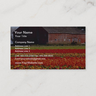 Red Tulip farm, Mt. Vernon, Washington flowers Business Card