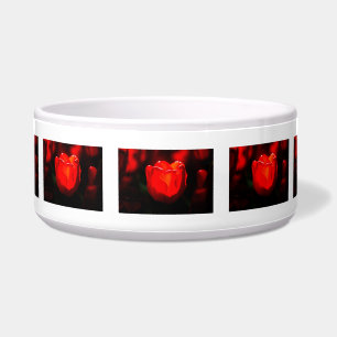 Red Tulip Flower - Fire