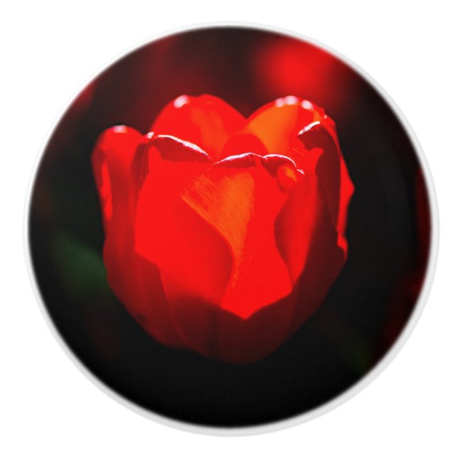 Red Tulip Flower - Fire Ceramic Knob (Front)
