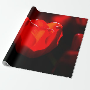 Red Tulip Flower - Fire Wrapping Paper