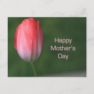 red tulip flower, happy mother's day postcard