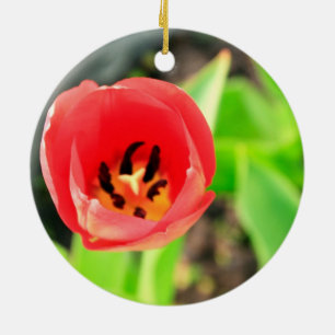 Red Tulip Flower Photograph Ceramic Ornament