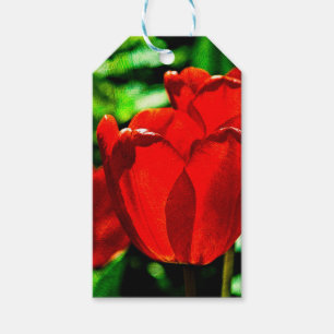 Red tulip flowers gift tags