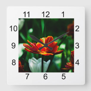 Red Tulip - His Majesty the King Square Wall Clock