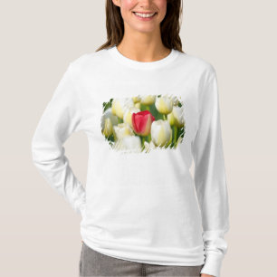 Red tulip in a field of white tulips T-Shirt