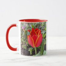 Red Tulip Mug