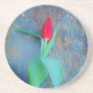Red Tulip on Blue Grey Slate Coaster