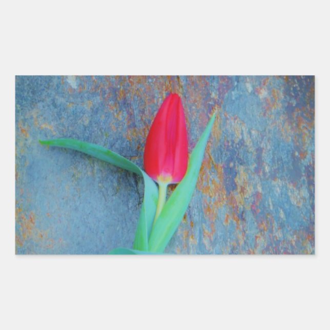 Red Tulip on Blue Grey Slate Sticker (Front)