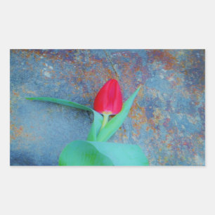 Red Tulip on Blue Grey Slate Sticker
