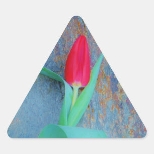 Red Tulip on Blue Grey Slate Triangle Sticker
