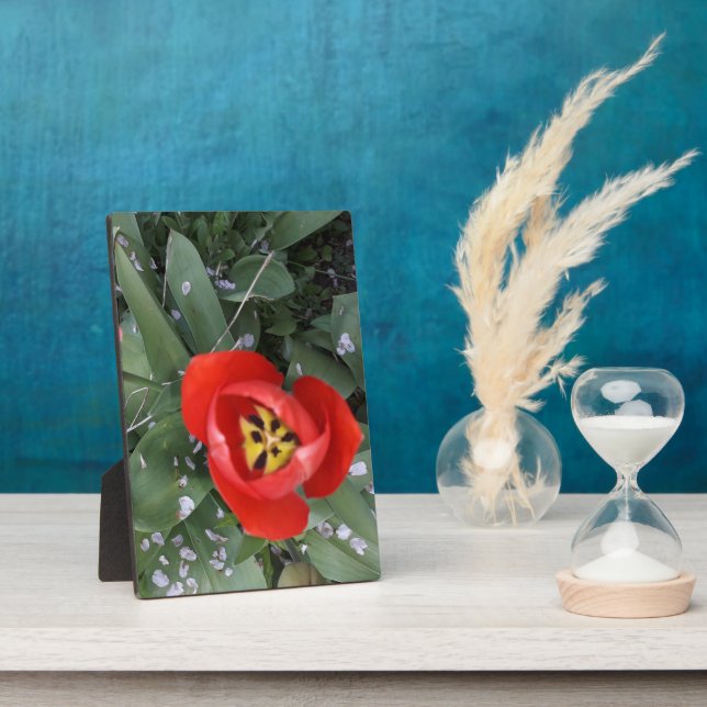 Red tulip plaque (Side)