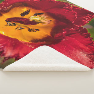 Red tulip sherpa blanket