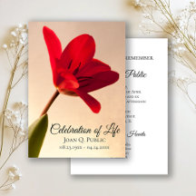 Red Tulip Spring Celebration of Life Funeral