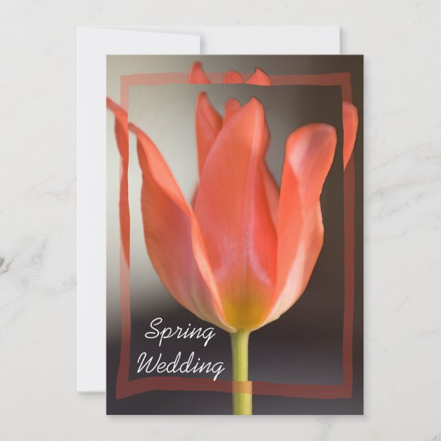 Red Tulip Spring Wedding Announcement (Front)