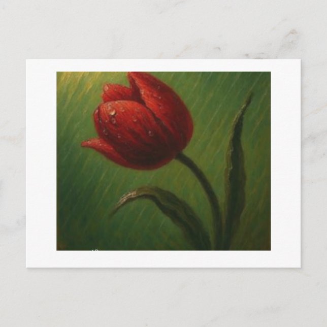 Red Tulip with Dew,  Postcard (Front)