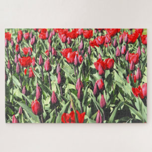 Red tulips 1014-pc jigsaw puzzle