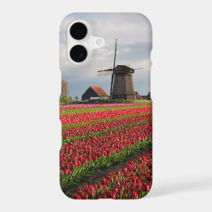 Red tulips and a windmill