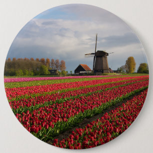 Red tulips and a windmill 6 inch round button
