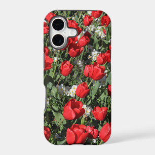 Red Tulips and White Primroses