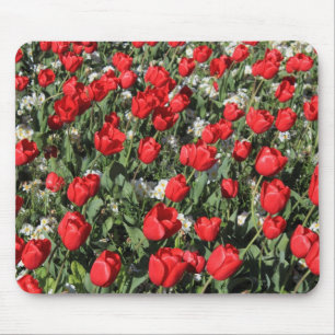 Red Tulips and White Primroses Mouse Pad