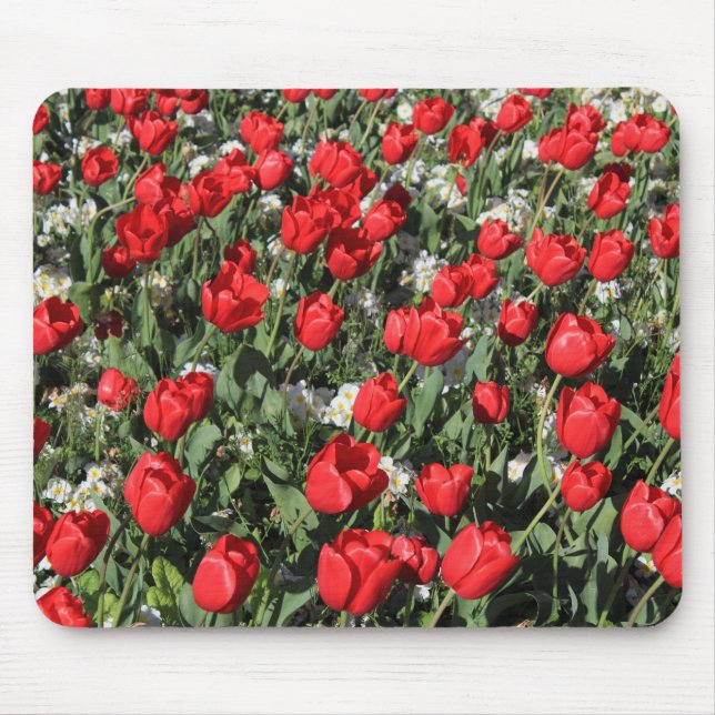 Red Tulips and White Primroses Mouse Pad (Front)