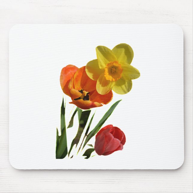 Red tulips and yellow daffodil flowers mouse pad (Front)