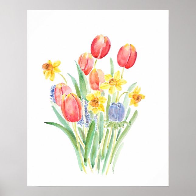 red tulips and yellow daffodils watercolor  poster (Front)