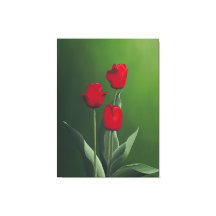 Red Tulips