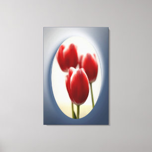 Red tulips canvas print