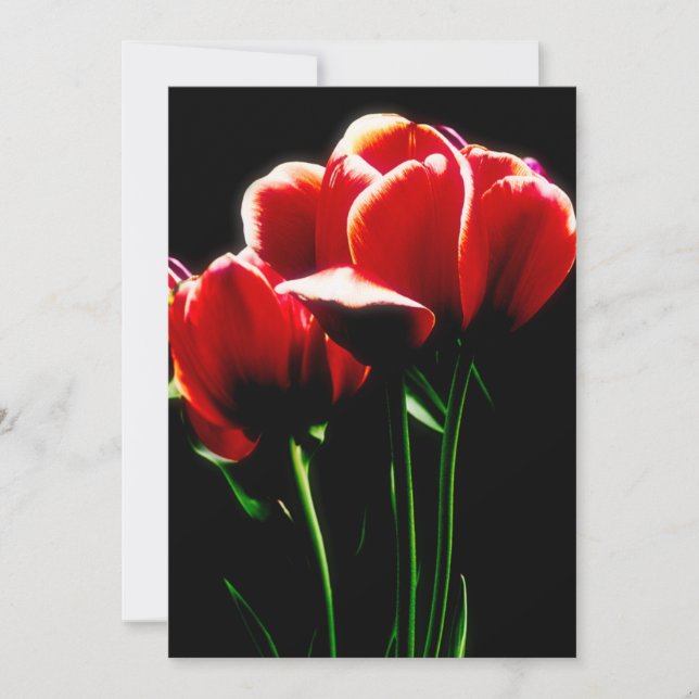 Red Tulips Card (Front)