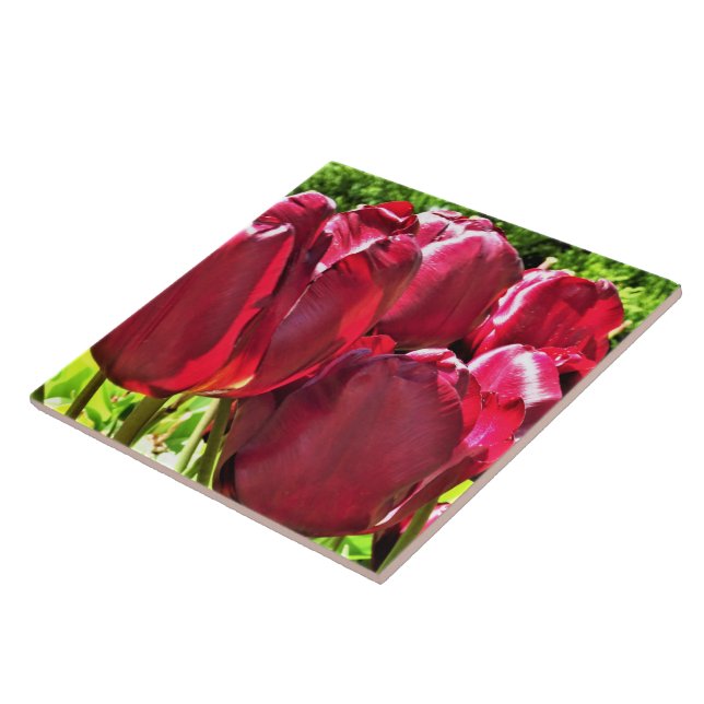 Red Tulips Ceramic Tile (Side)