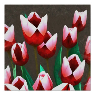 Red Tulips Floral Abstract  Poster
