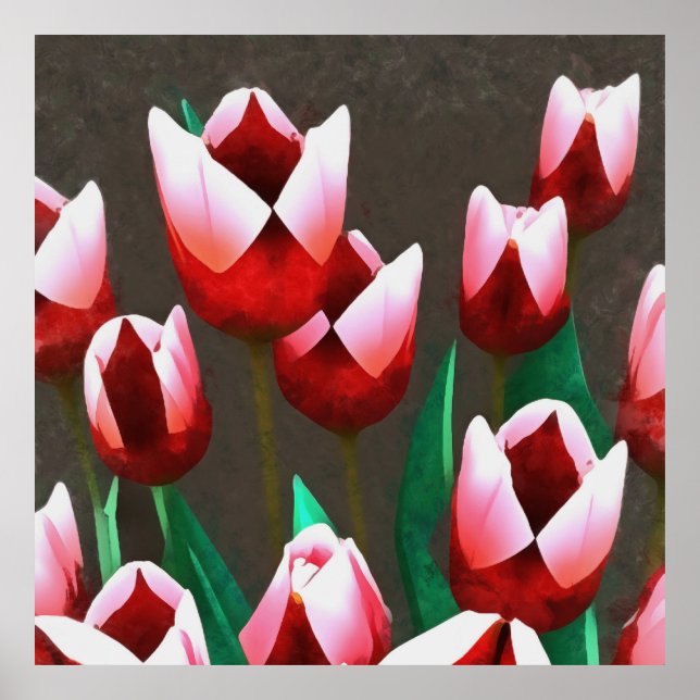 Red Tulips Floral Abstract  Poster (Front)
