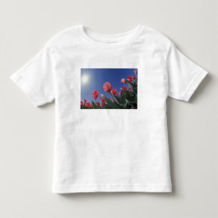 Red tulips from very low angle, Cincinnati, Toddler T-shirt