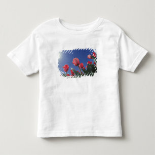 Red tulips from very low angle, Cincinnati, Toddler T-shirt