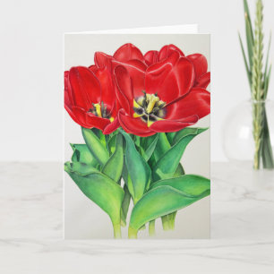 Red Tulips Holiday Card