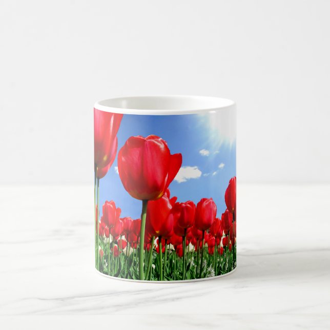 Red tulips in springtime coffee mug (Center)