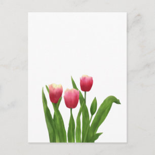 Red Tulips in Watercolour Style Holiday Postcard