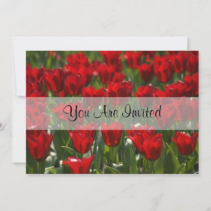 Red Tulips Invitations You Are Invited