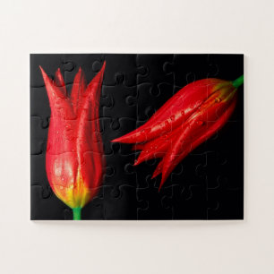 Red Tulips jeu Puzzle