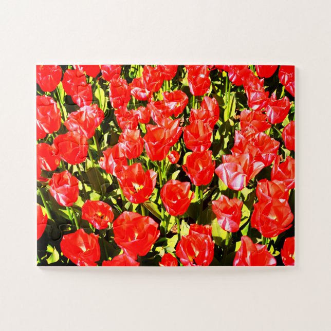 Red tulips jigsaw puzzle (Horizontal)