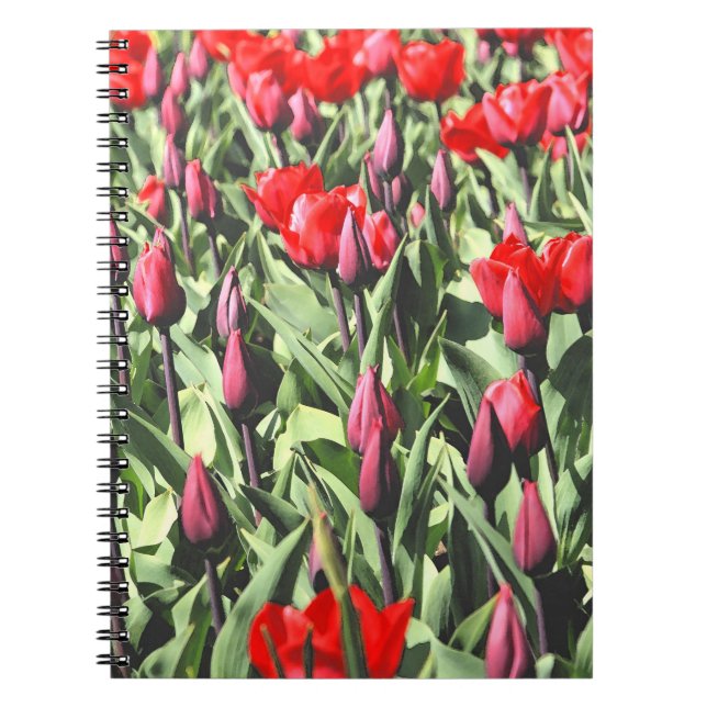 Red tulips notebook (Front)