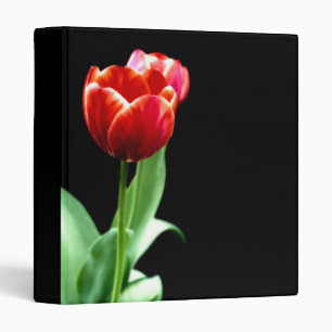 Red tulips on a black background binder