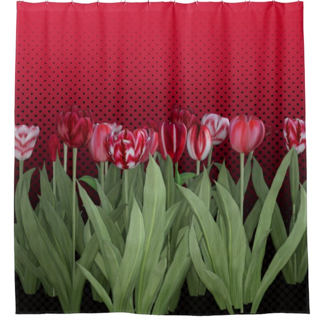 Red Tulips on Gradient (Front)