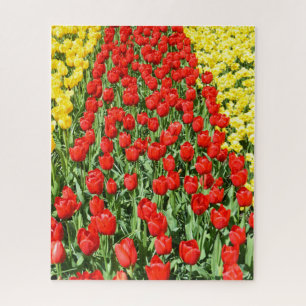 Red tulips path in Holland floral Jigsaw Puzzle