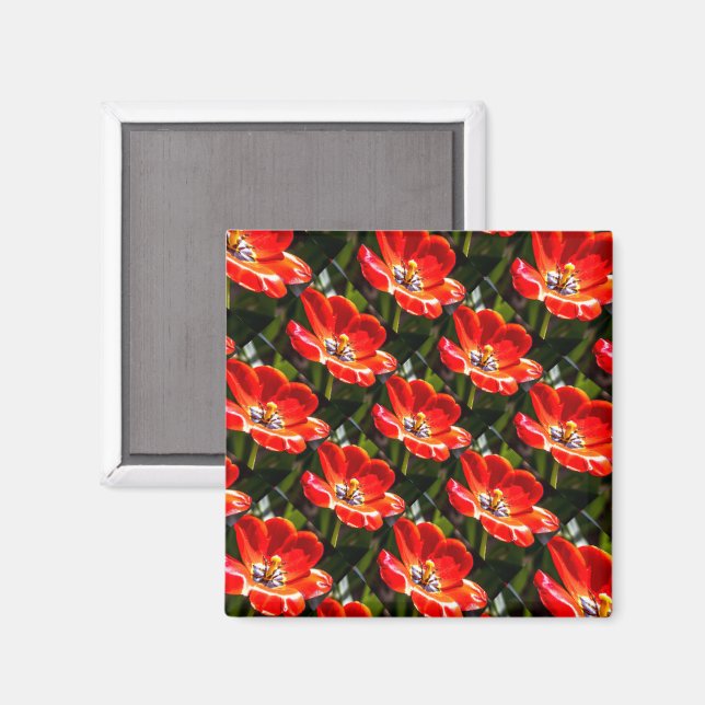 Red Tulips Pattern Magnet (Front/Back)
