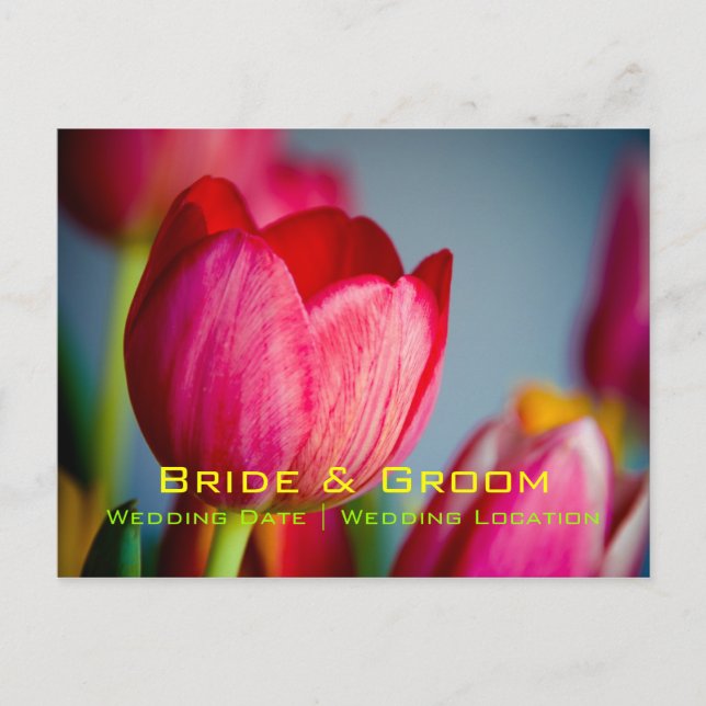Red Tulips • Save the Date Postcard (Front)