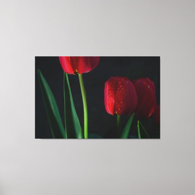 Red Tulips Wrapped Canvas (Front)