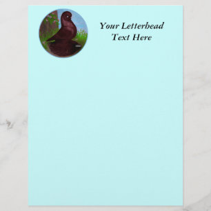 Red Tumbler Pigeon Circle